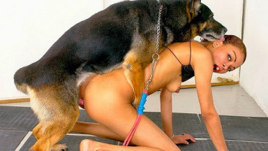 Порно с собакой