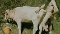 Мужик трахает корову в немецком зоо порно видео