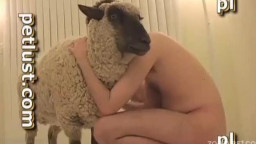 Зоо порно с овцой, молодой парень трахает рогатое животное