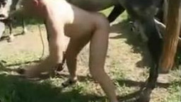 Анальный секс мужика с конём, зоо порно видео