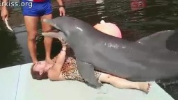 Порно зоо с дельфином в дельфинарии, онлайн видео