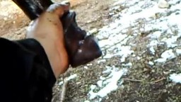 Мужик дрочит коню член, зоо эро видео онлайн