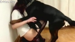 Секс с собакой худой девушки, домашнее порно зоо