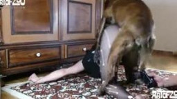 Собака изнасиловала русскую женщину. Шокирующее зоо порно онлайн